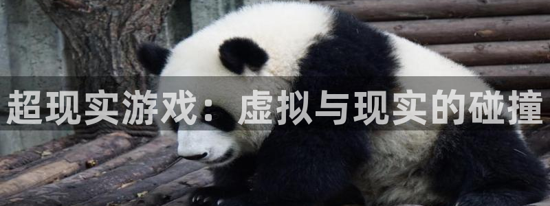 星空娱乐网：超现实游戏：虚拟与现实的碰撞