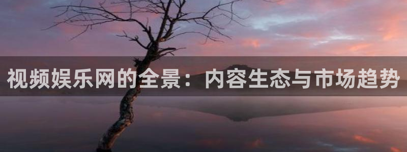 星空娱乐二维码图片怎么弄：视频娱乐网的全景：内容生态与市场趋势