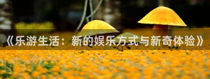 星空娱乐入口：《乐游生活：新的娱乐方式与新奇体验》