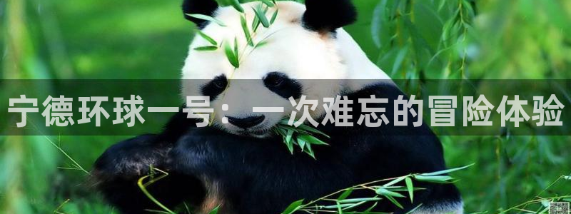 星空娱乐网站官网：宁德环球一号：一次难忘的冒险体验