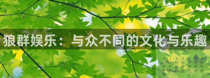 星空娱乐传媒有限公司：狼群娱乐：与众不同的文化与乐趣