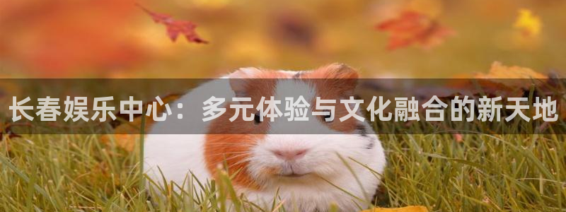星空娱乐网站：长春娱乐中心：多元体验与文化融合的新天地
