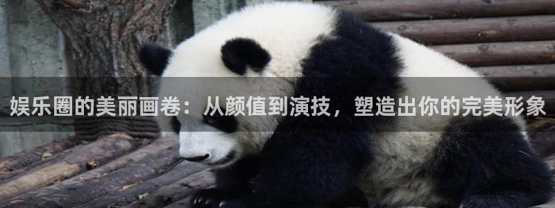 93299星空娱乐最新网址：娱乐圈的美丽画卷：从颜值到演技，塑造出你的完美形象