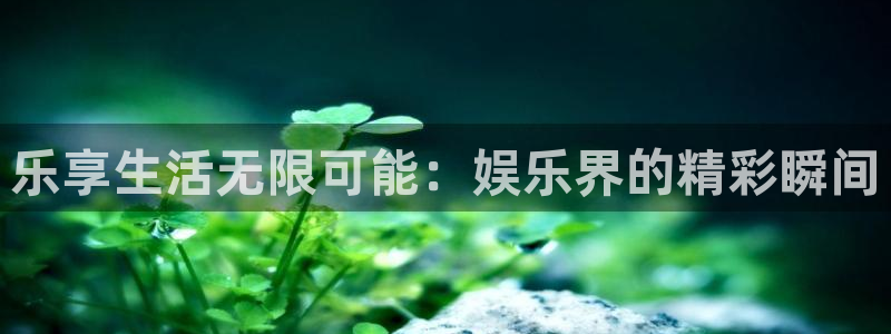 星空娱乐城：乐享生活无限可能：娱乐界的精彩瞬间