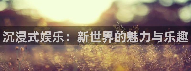 星空娱乐2929：沉浸式娱乐：新世界的魅力与乐趣
