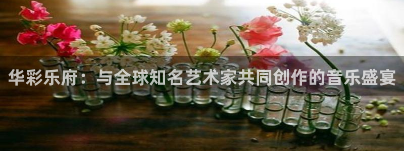 星空娱乐网站官网：华彩乐府：与全球知名艺术家共同创作的音乐盛宴
