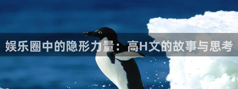 星空娱乐网：娱乐圈中的隐形力量：高H文的故事与思考