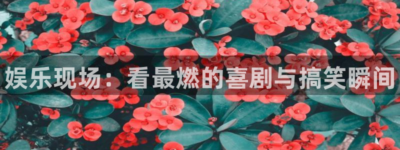 星空娱乐官网版：娱乐现场：看最燃的喜剧与搞笑瞬间