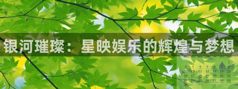 星空娱乐：银河璀璨：星映娱乐的辉煌与梦想