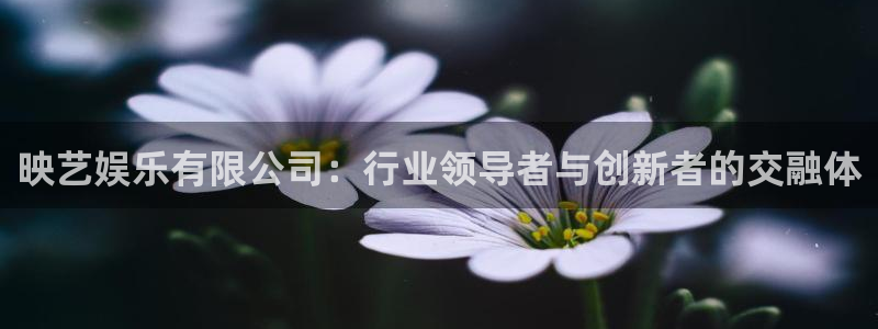 93299星空娱乐最新网址：映艺娱乐有限公司：行业领导者与创新者的交融体
